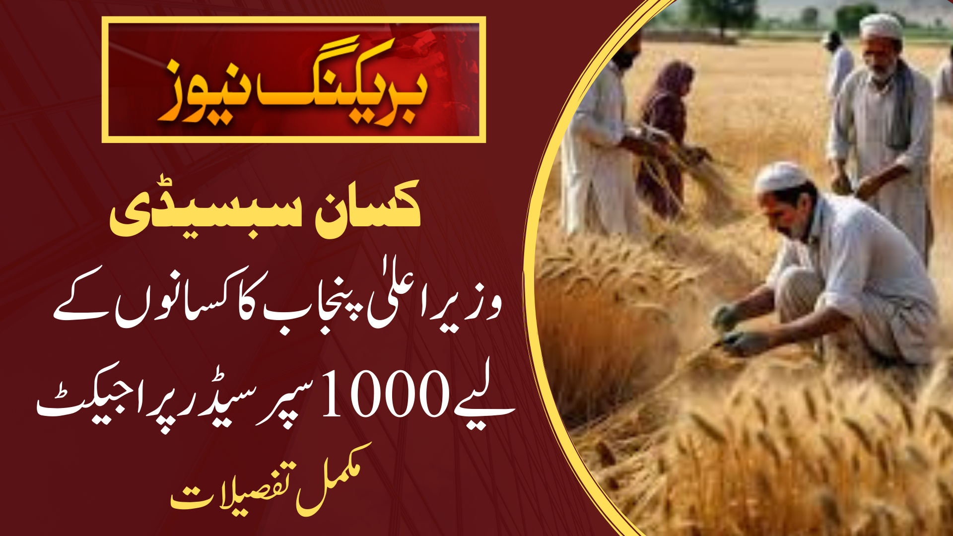 1000 Super Seeder Project for Farmers by CM Punjab